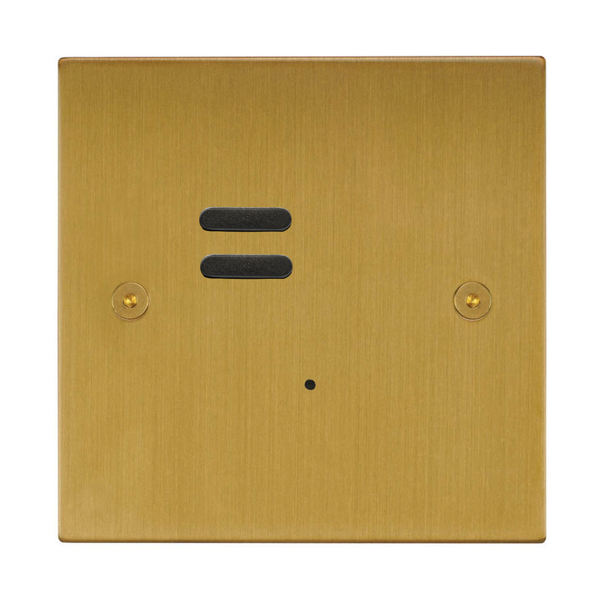 Wise ID Switch Satin Brass 2 Channel